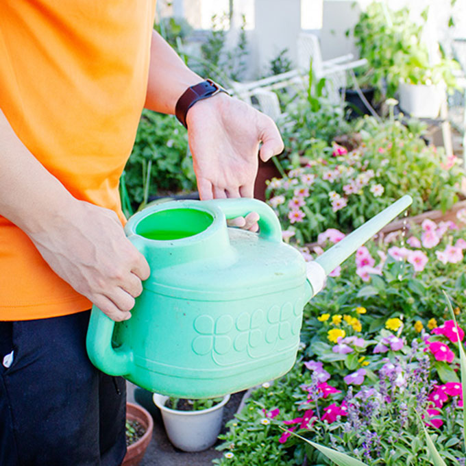 お手伝いサービス例